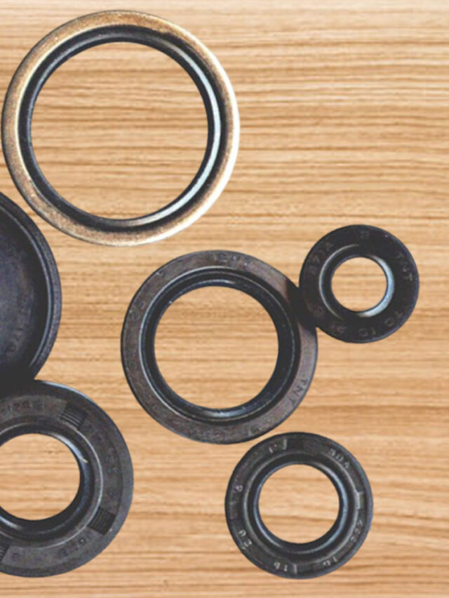 cropped-Oil-seal-1.jpg